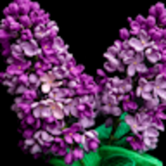 Meet your Posher, Madison - Picture 1 of 1